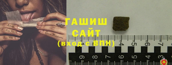 гидра Новодвинск