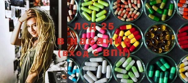гидропоника Новозыбков