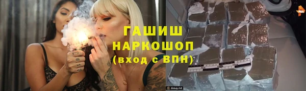 гидра Новодвинск