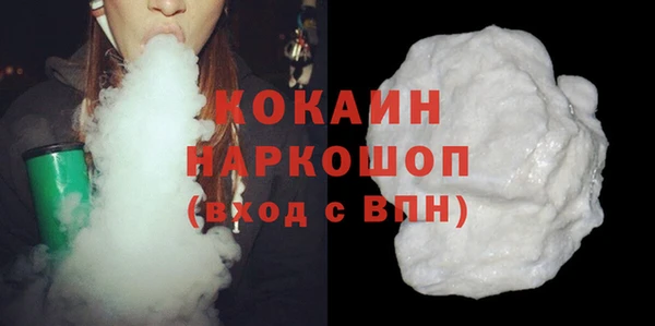 гидра Новодвинск