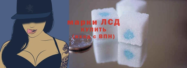 гидропоника Новозыбков