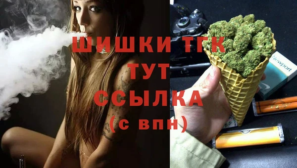 гидропоника Новозыбков