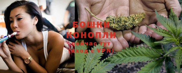 гидропоника Новозыбков