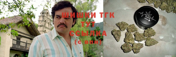 гидропоника Новозыбков