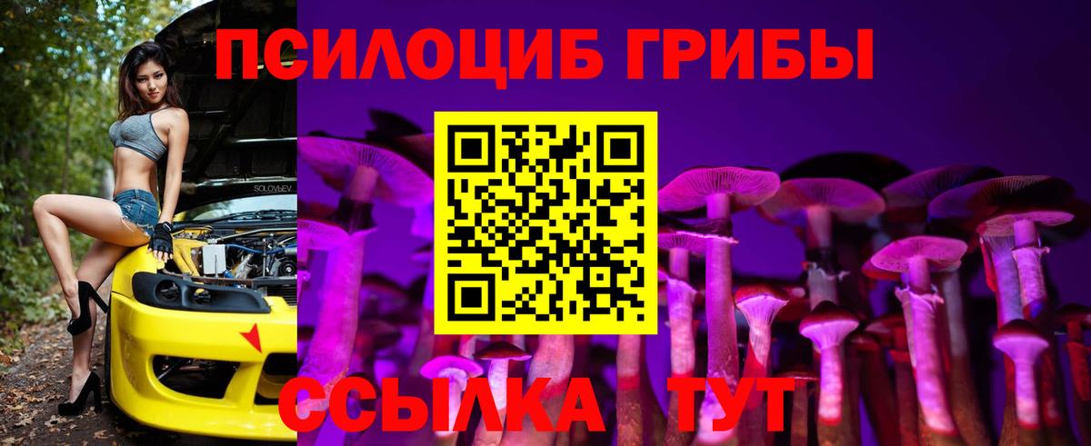 Псилоцибиновые грибы GOLDEN TEACHER  Вход с VPN  Галлюциногенные грибы Psilocybine cubensis  Калининград 