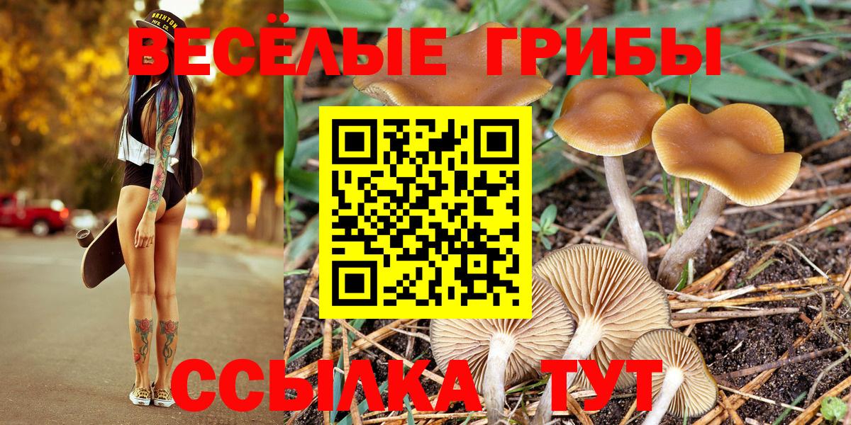 сколько стоит  Калининград  Галлюциногенные грибы MAGIC MUSHROOMS  Галлюциногенные грибы прущие грибы 